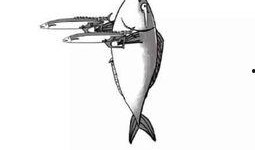 咸鱼之王鼠标最新爆料图,外观设计惊艳，功能强大引期待