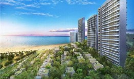 山海最新爆料消息,神秘事件背后真相揭晓