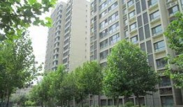 金商花园爆料视频最新,揭秘神秘豪宅背后的故事