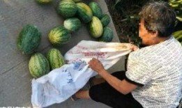 台州最新大瓜爆料视频