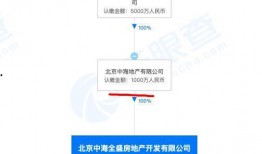 中海爆料最新消息,揭秘行业动态，洞察市场风向