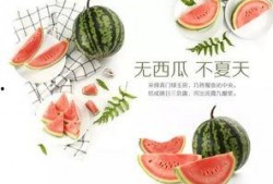 潍坊吃瓜最新爆料视频大全,最新爆料视频大盘点