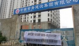 隆平高科最新爆料信息,创新成果与未来农业发展蓝图