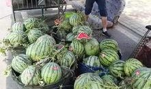 淄博吃瓜爆料事件最新情况