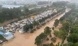 涿州洪水最新爆料信息,救援行动紧张进行，受灾情况持续更新