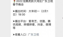 春节更新爆料最新消息