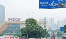 大渡口最新爆料新闻事件,最新事件引发社会关注