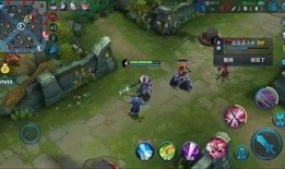 妲己内部爆料视频大全最新,内部爆料视频大全深度解析