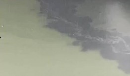 清河爆料最新情况视频,事件进展及幕后真相曝光