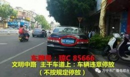 万宁座驾真实爆料视频最新,真实爆料视频曝光惊人细节
