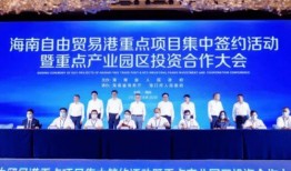 三亚最新网红爆料新闻,揭秘热门景点背后的秘密！