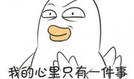 小花加油最新爆料图片,青春活力，魅力四溢