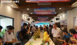 遂溪新闻爆料最新消息视频,视频揭露惊人真相！