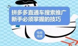 拼多多最新爆料链接,揭秘神秘新功能及重大战略调整！