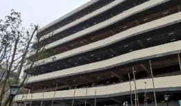 大渡口最新爆料新闻事件,最新事件引发社会关注