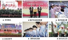 昆明校园爆料视频最新,揭秘校园内幕事件！