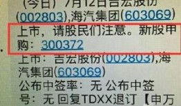 宋清辉最新爆料,揭秘行业内幕，深度剖析事件真相