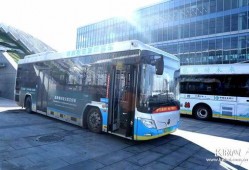 张家口公交车爆料事件最新