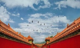 故宫最新爆料事件真相视频,最新爆料事件真相视频深度解析