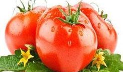 中国西红柿爆料最新消息,价格波动与种植趋势揭秘