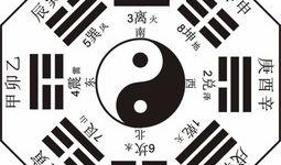 新疆最新八卦爆料视频,揭秘神秘事件背后的真相！