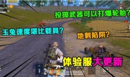 吃鸡载具爆料最新,神秘爆料揭示未来战场新势力