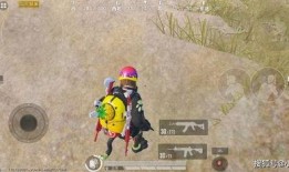 服饰币皮肤爆料最新菜鸡,全新菜鸡形象惊艳亮相，趣味互动引玩家热议