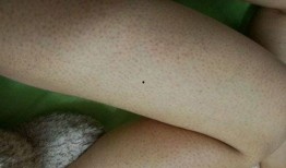 和平吃鸡皮肤爆料最新,全新“和平吃鸡”皮肤惊艳亮相，视觉盛宴即将开启！