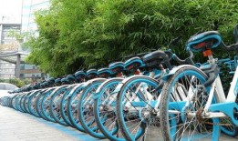 郑州自行车最新爆料消息,揭秘未来城市出行新选择
