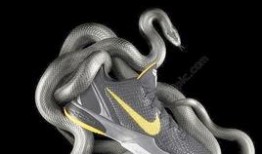 篮球鞋最新爆料图片高清,高清爆料揭示未来战靴风采