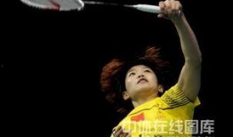 汪鑫最新爆料新闻,揭秘娱乐圈惊人内幕