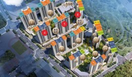 中海爆料最新消息,揭秘行业动态，洞察市场风向