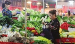 兰州菜市场最新爆料视频,探寻地道美食与市井生活