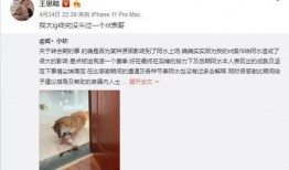 感恩哥最新爆料,娱乐圈幕后感恩故事大曝光！