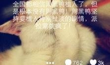微博最新爆料周黑鸭是谁
