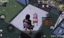 网易明日之后最新爆料