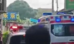 梅华车祸最新爆料消息视频,视频揭露惊人真相，事故原因令人震惊