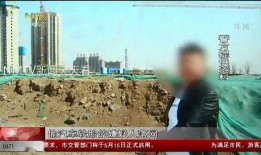 呼市吃瓜最新事件爆料新闻,揭秘最新爆料背后的真相与争议”