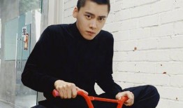 最新圈内爆料李易峰,揭秘明星背后的故事