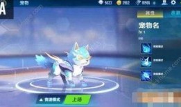 宠物最新爆料qq飞车,QQ飞车新宠登场，速度与激情再升级！