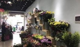 西昌最新爆料花店地址,揭秘最新花店地址，尽享浪漫花艺之旅