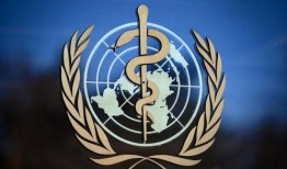 甘谷新闻爆料最新消息疫情,甘谷新闻爆料揭示疫情动态