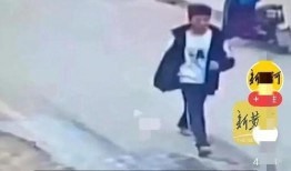 邯郸事件最新爆料,惊人内幕曝光，真相令人震惊！