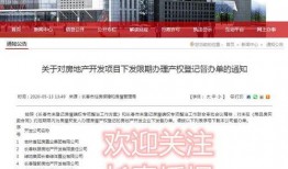 长春爆料官方公告最新消息,聚焦热点事件解读与进展