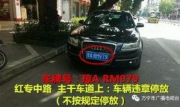 万宁座驾真实爆料视频最新,真实爆料视频曝光惊人细节