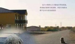 威海爆料最新事件真相,揭秘背后惊人内幕