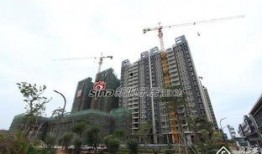 湛江吴川头条最新爆料,揭秘重大事件背后真相