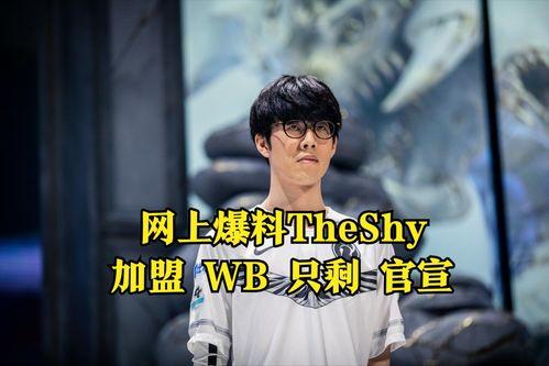 转会期最新爆料theshy,揭秘TheShy最新转会期动向！
